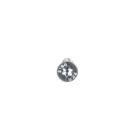 169185 Hillrom Screw, M6-1, 30, Fh, T30