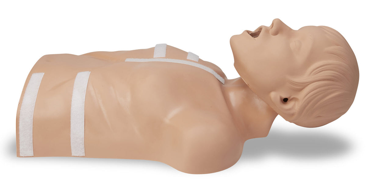 8000-0835-01 ZOLL CPR-D Demo Manikin
