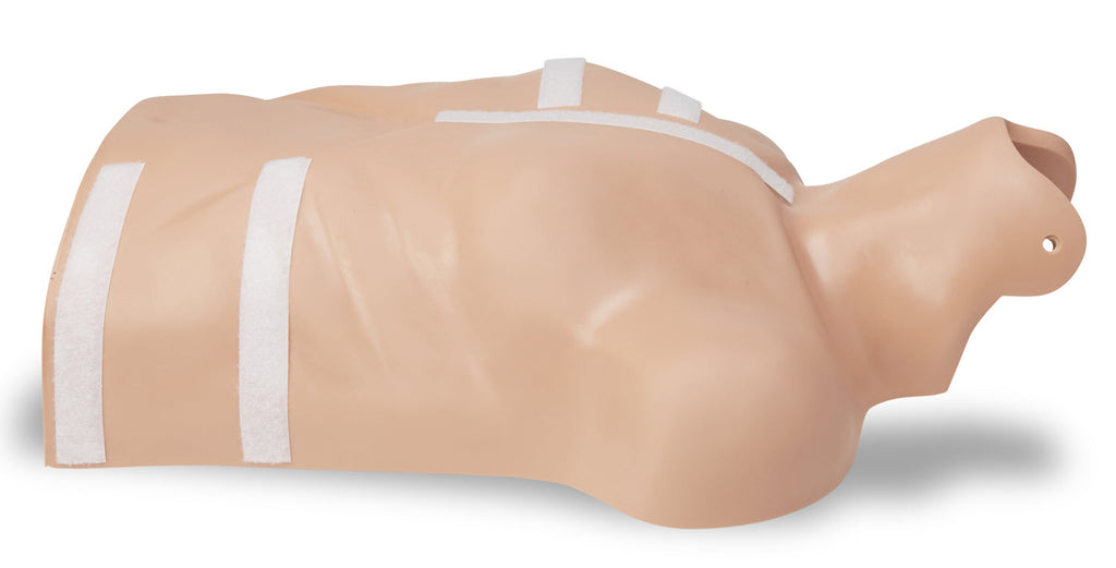 8000-0835-01 ZOLL CPR-D Demo Manikin