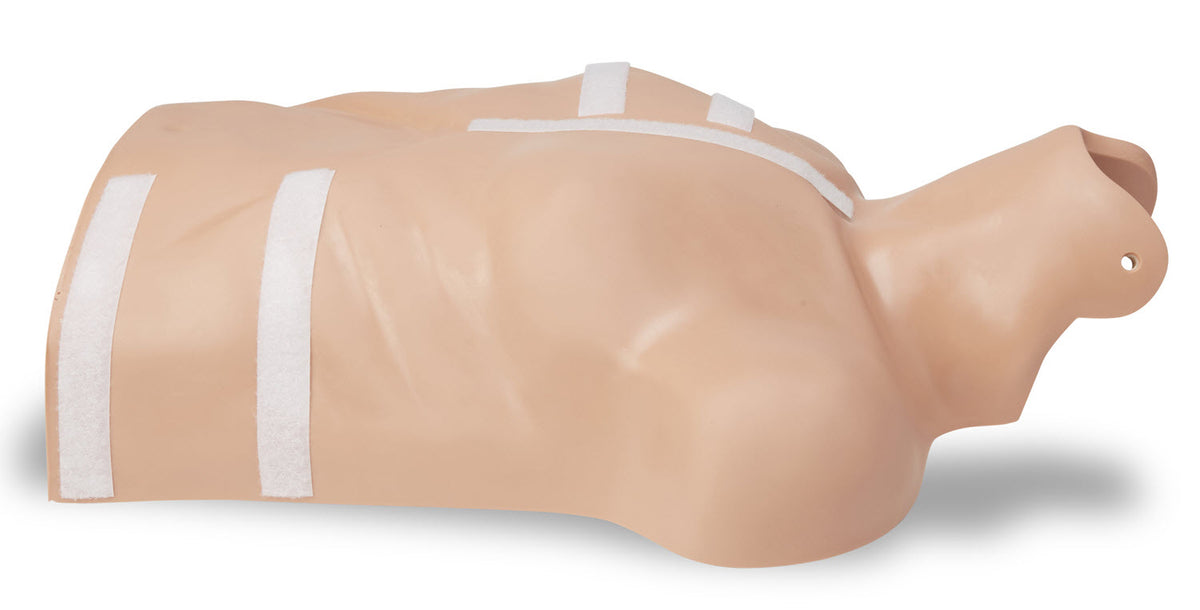 8000-0835-01 ZOLL CPR-D Demo Manikin